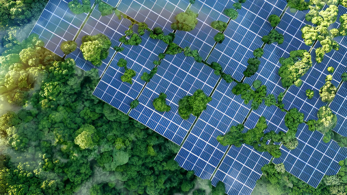 solar panel installer