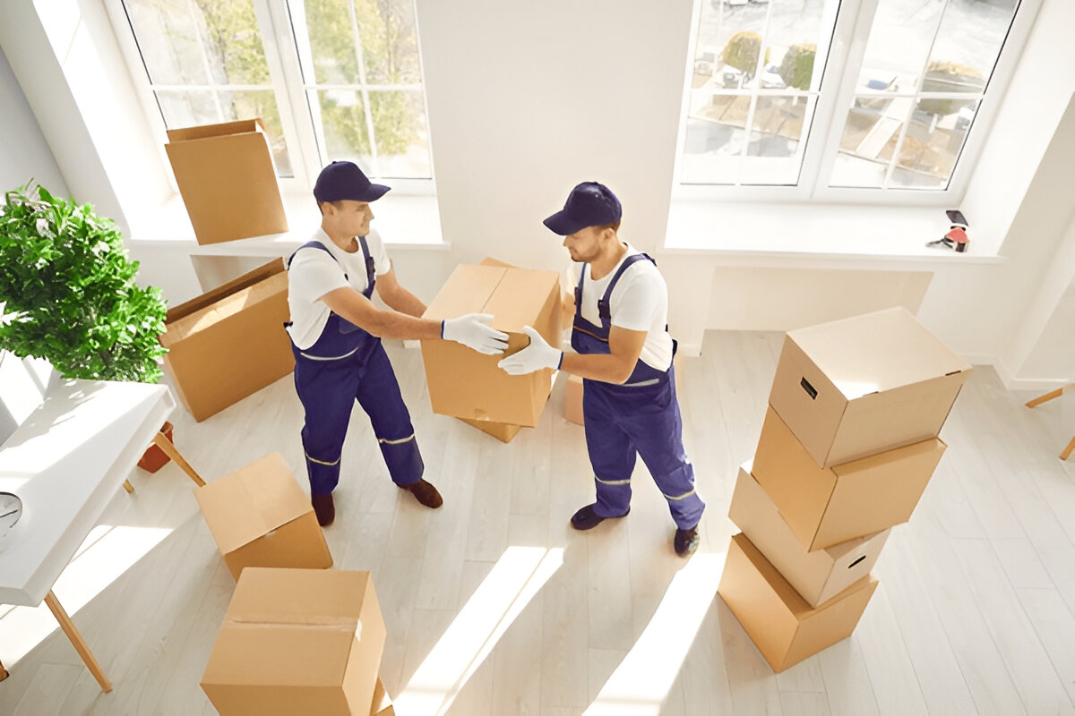 mover company near me